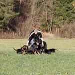 Beauceron-Welpen-7.Woche-E-Wurf-Nikolaus-Kugler_von-den-Waechtern-aus-Bayern