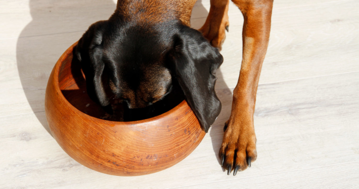 Nikolaus Kugler 4 Komponenten Bio-Hundefutter Prinzip