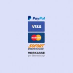 neue-Bezahldienste