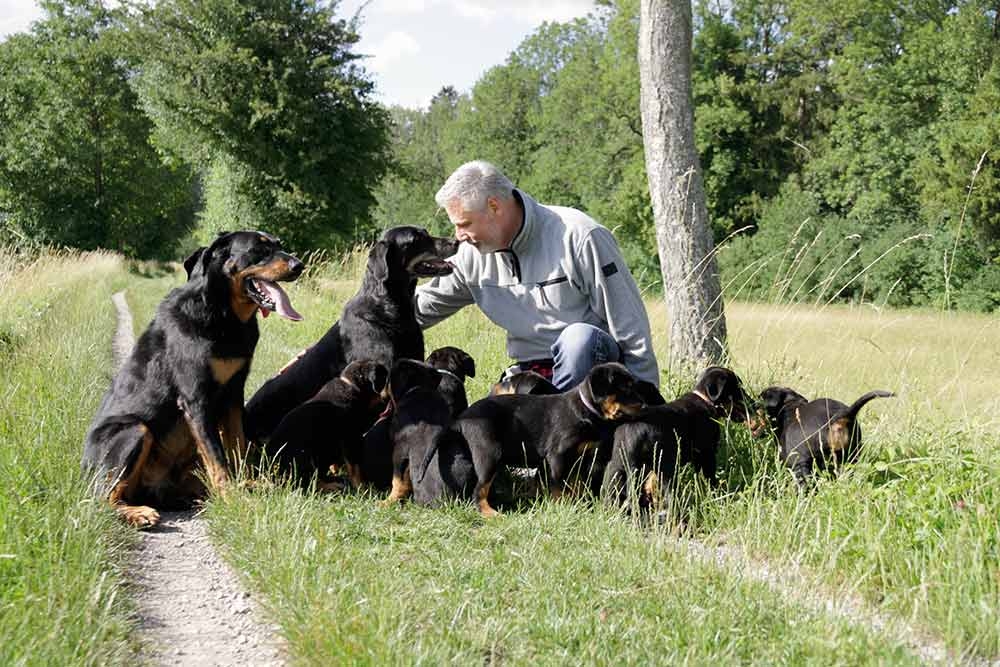 Nikolaus-Kugler-F-Wurf-von-den-Waechtern-aus-Bayern_Isar-7